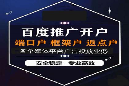 SEM服务公司助力品牌崛起案例